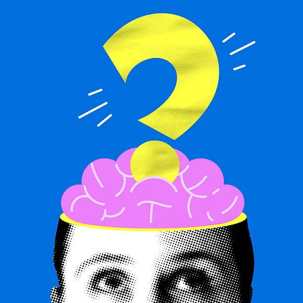 Наша команда